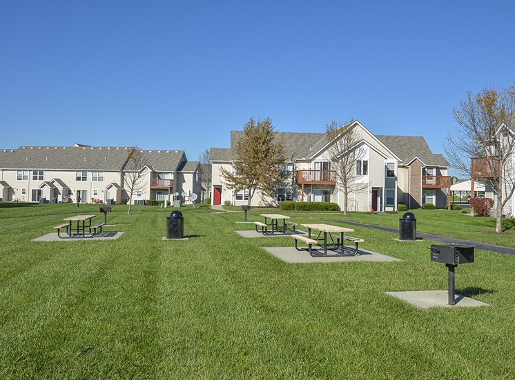 Barbecue and Picnic Chairs